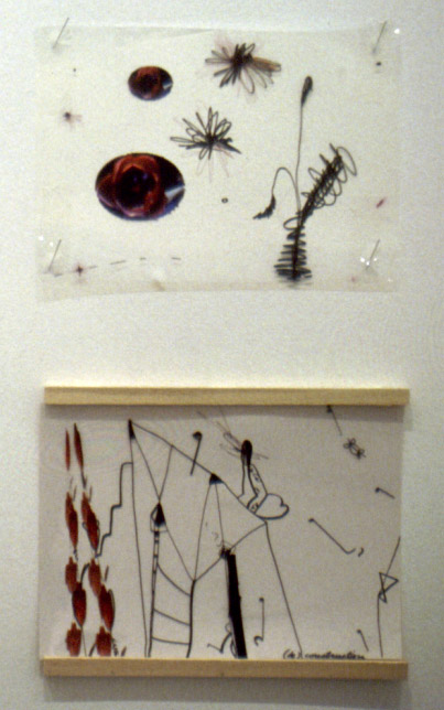 The Beginnings; Different Approaches to the Drawing 2001